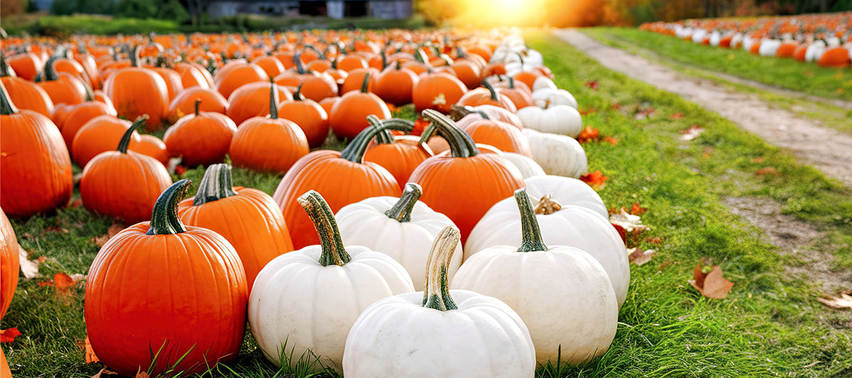 Signature Formulations October Update